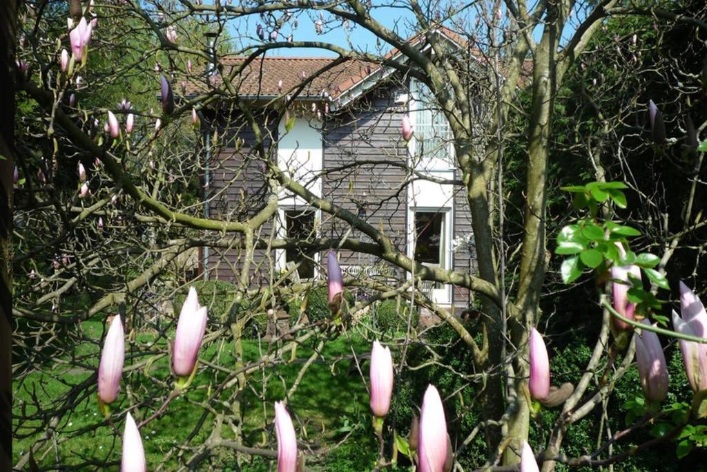 Ferienhaus Gästehaus Im Park *